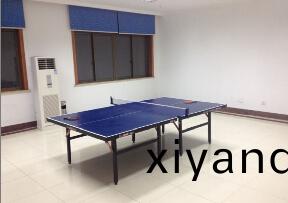 乒乓(pang)室(shi)
